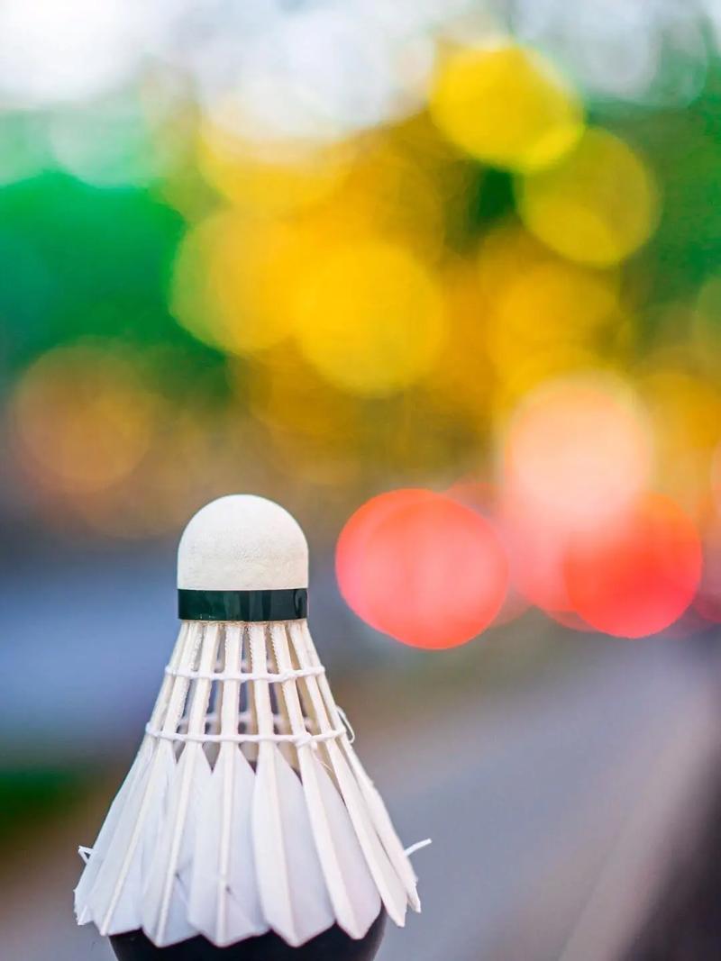 和精湛射术 和精湛射术